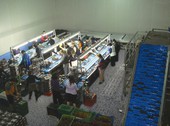 Cherry line with michanical sorter
